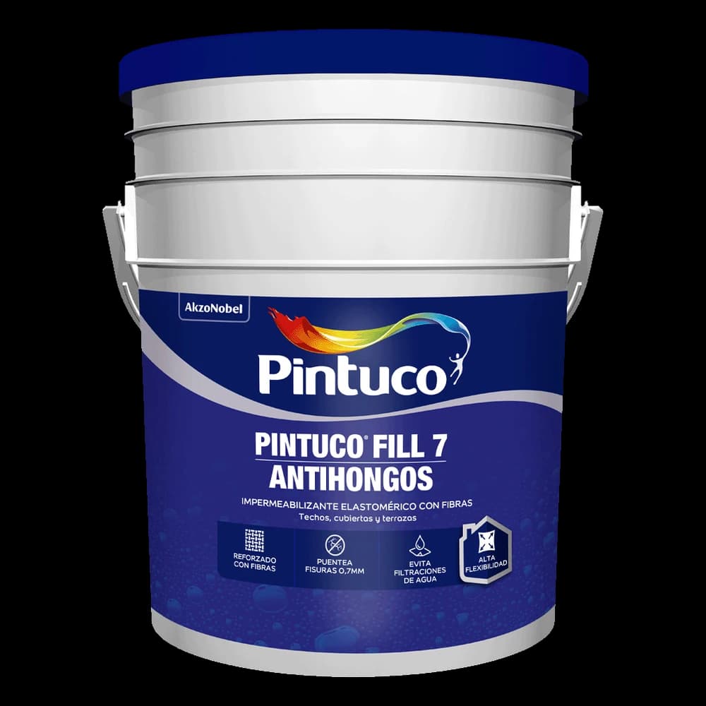 Pintuco Fill 12 Gris 27505